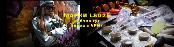 spice Богданович