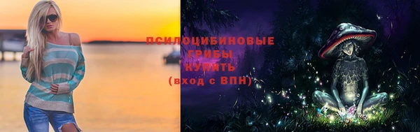 spice Богданович