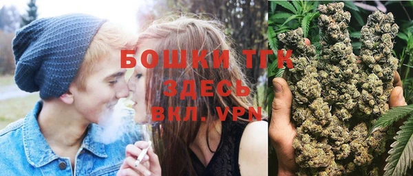 spice Богданович