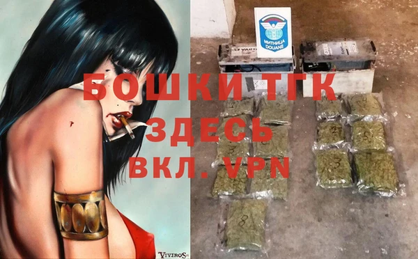 spice Богданович