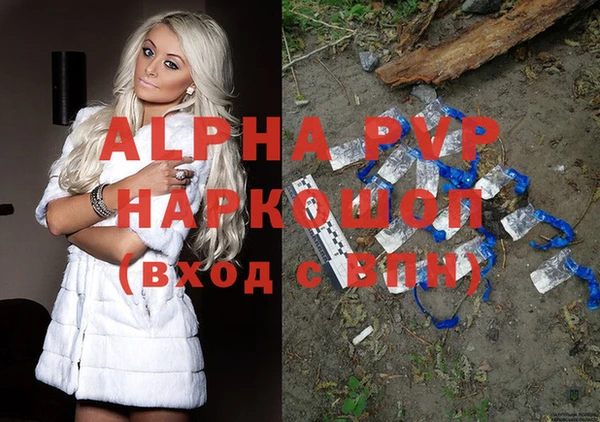 spice Богданович